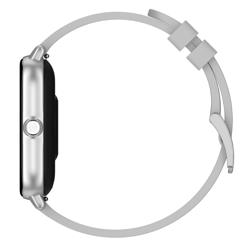 Silver Grey
