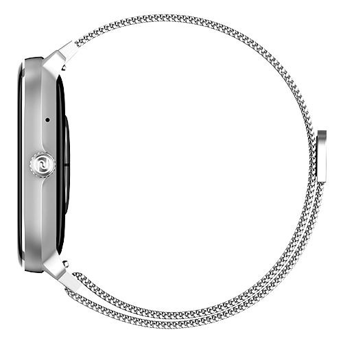 Silver Link