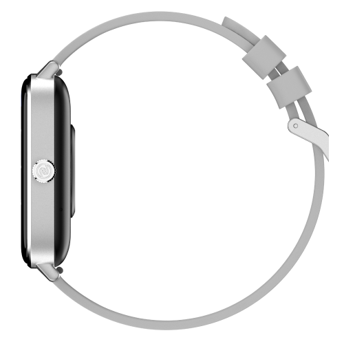 Silver Grey