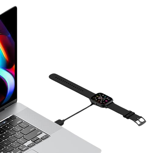 Noise 2-Pin Magnetic Charger USB Cable Type 1/ Type 2