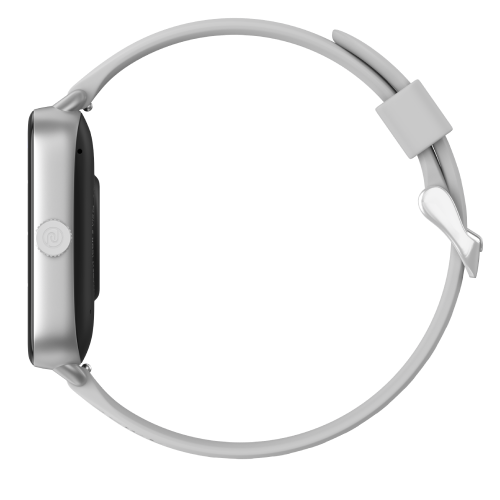 Silver Grey