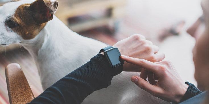 7 Things Your Smart Watch Can Do