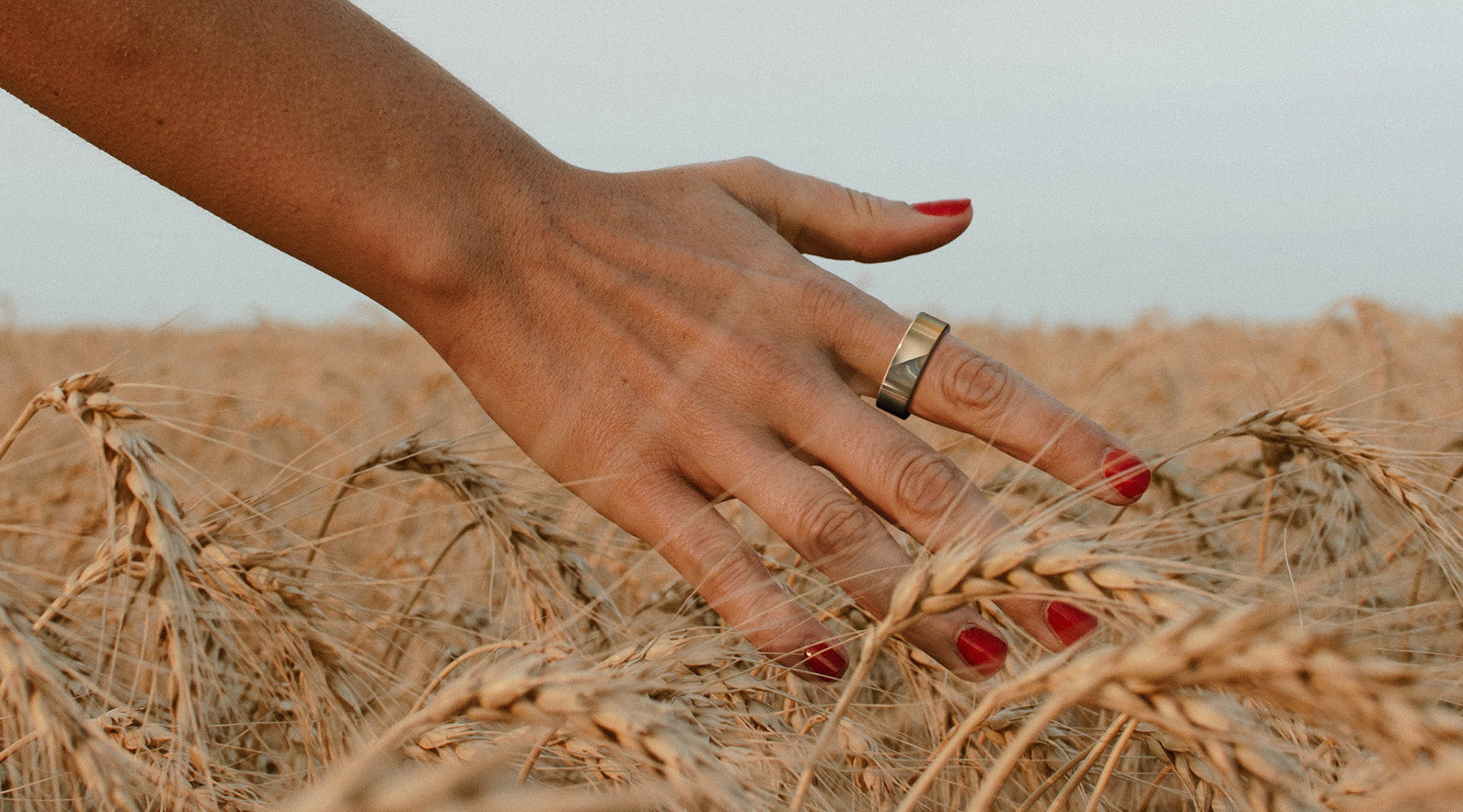 Understanding Macros and Micros: A Guide to Balanced Nutrition