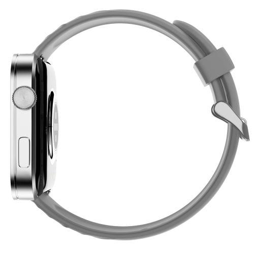 Silver Grey