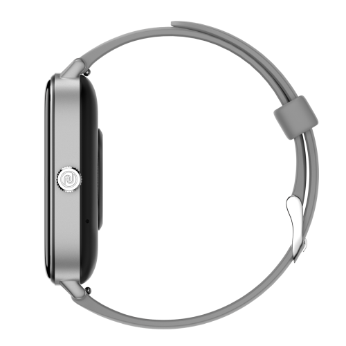 Silver Grey