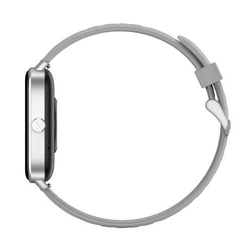 Silver Grey