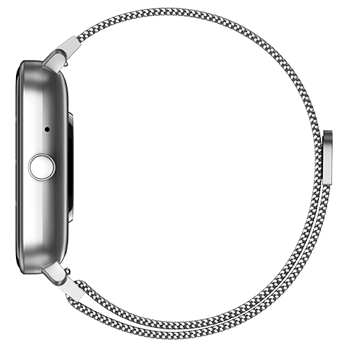 Silver Link