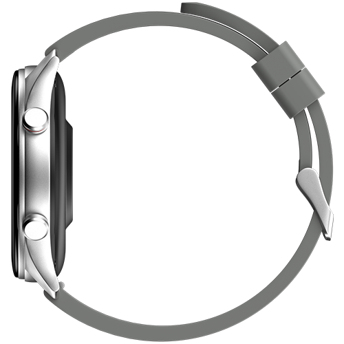 Silver Grey