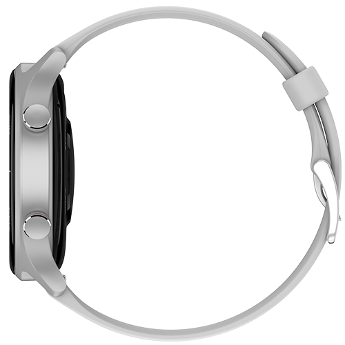 Silver Grey