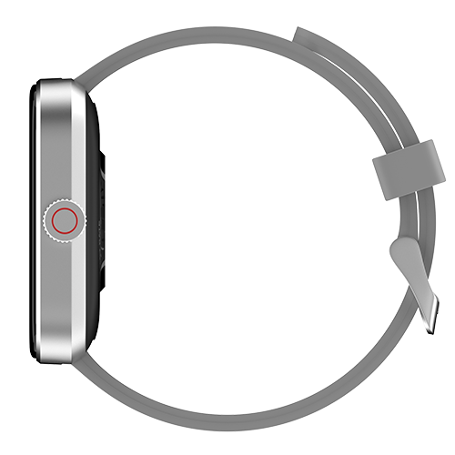 Silver Grey