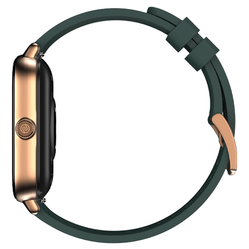 Olive Gold