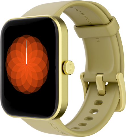 Noise ColorFit Pulse 2 Smartwatch